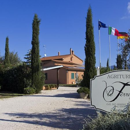 Agriturismo Ferruggini Bolgheri Exteriör bild