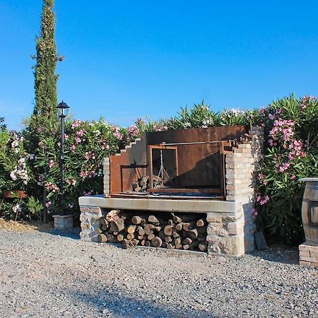 Agriturismo Ferruggini Bolgheri Exteriör bild