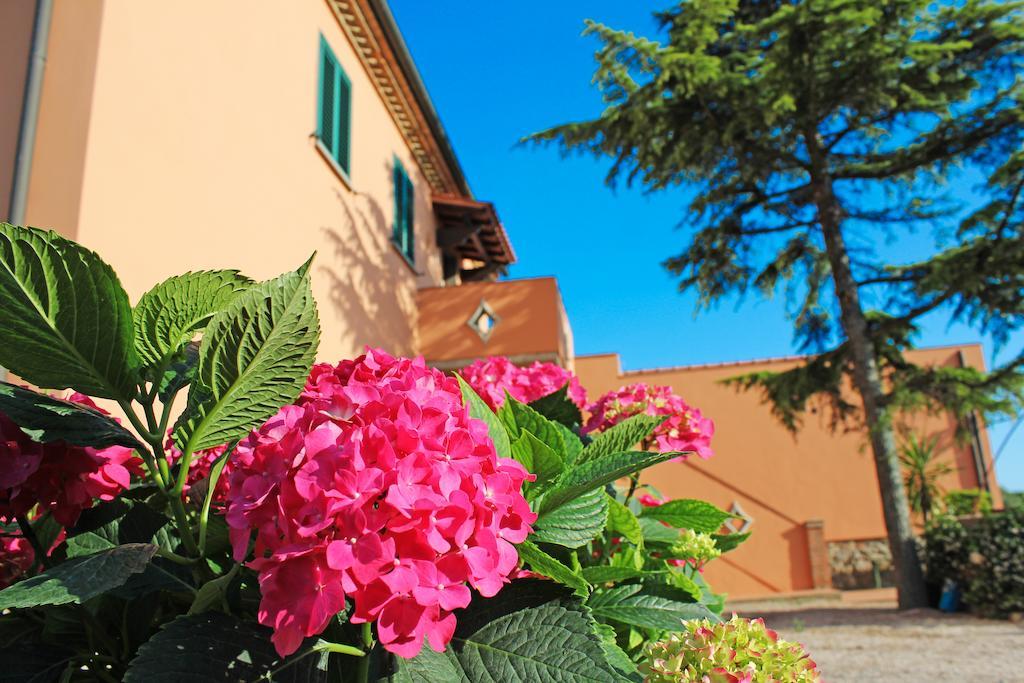 Agriturismo Ferruggini Bolgheri Exteriör bild
