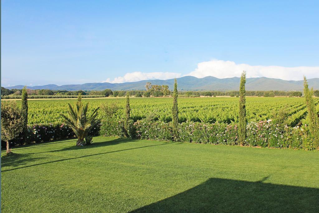Agriturismo Ferruggini Bolgheri Exteriör bild