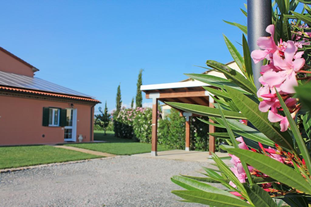 Agriturismo Ferruggini Bolgheri Exteriör bild